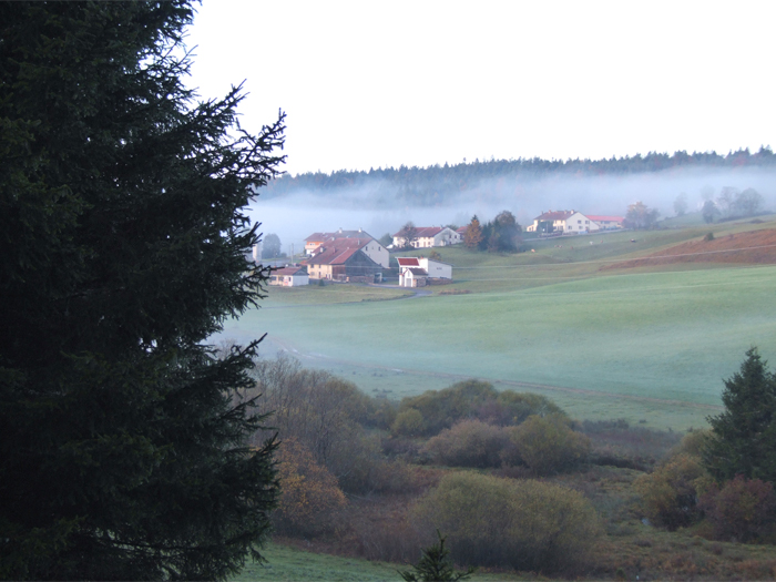 Prenovel, la campagne