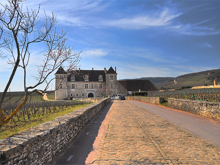 Clos de Vougeot