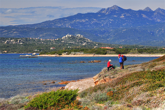 Corse Ventilegne