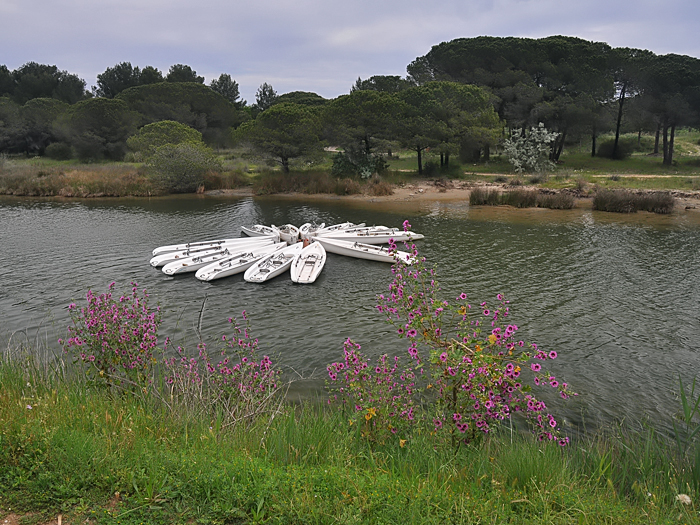 Etang du Ponant