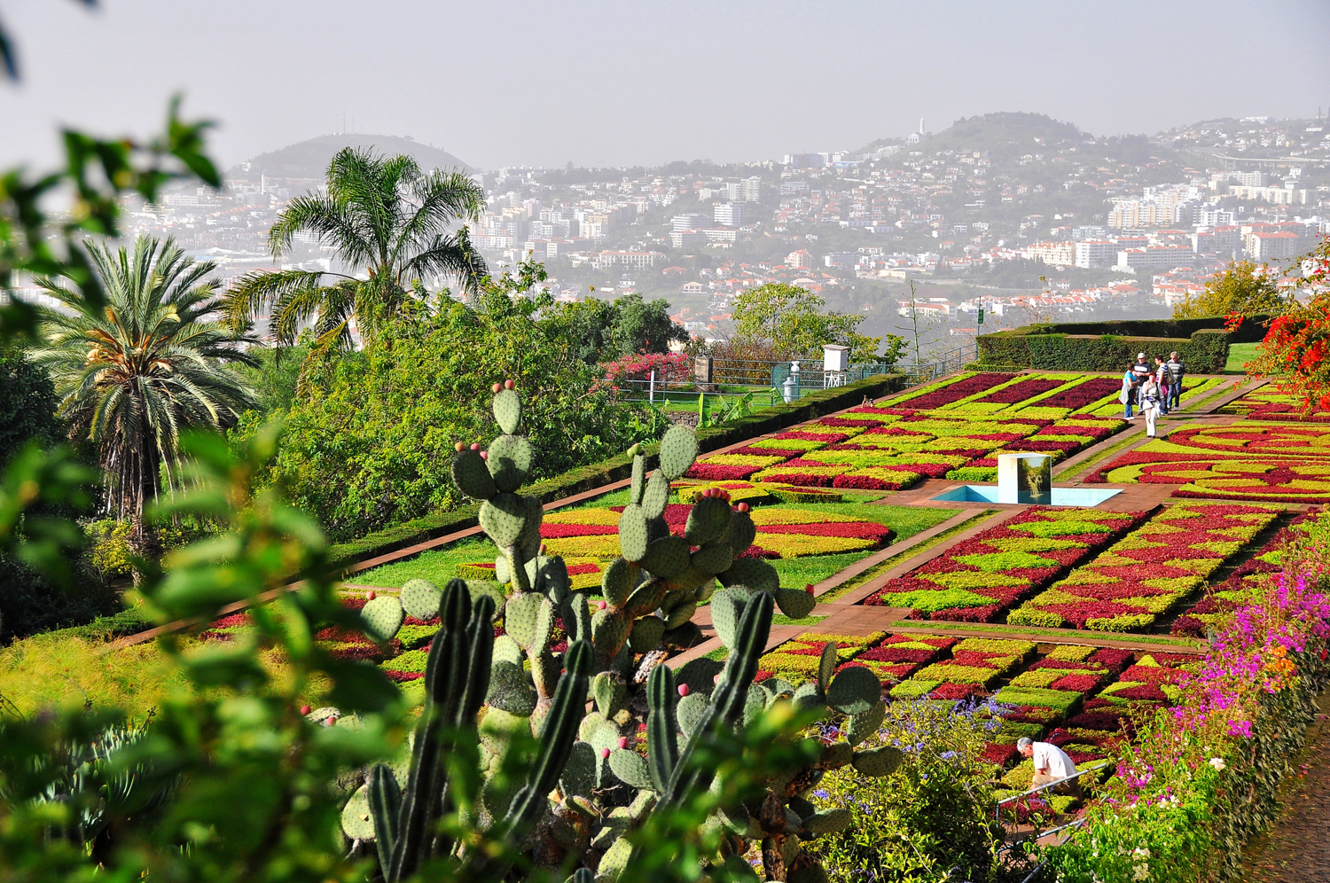 Jardin botanique