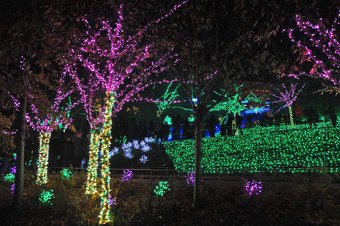 Lyon fete lumieres grande cote