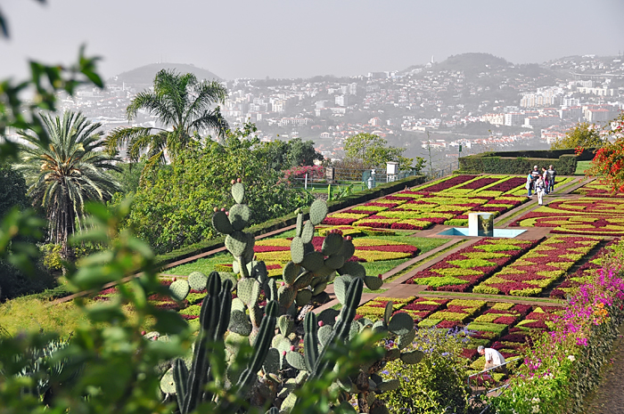 Jardin Botanique