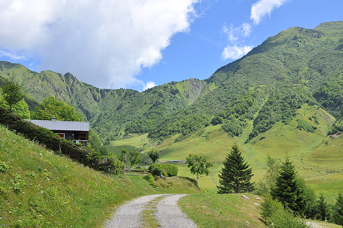 Relais Lac Noir paysage