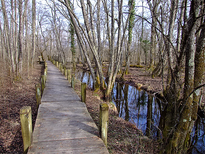 Sentier sur pilotis, marais de Lavours