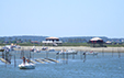 Arcachon cabanes tchanquees