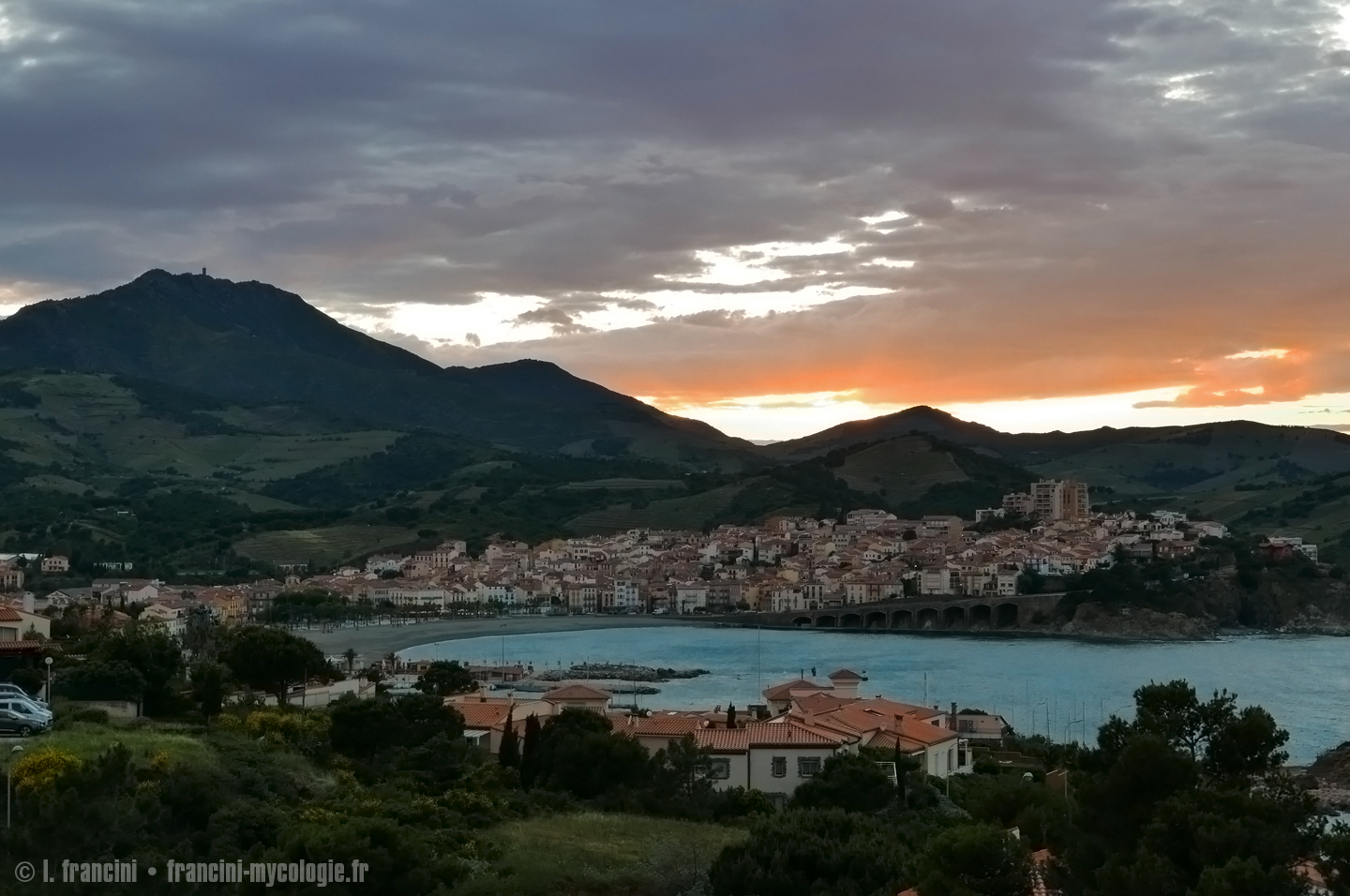 Collioure 2019