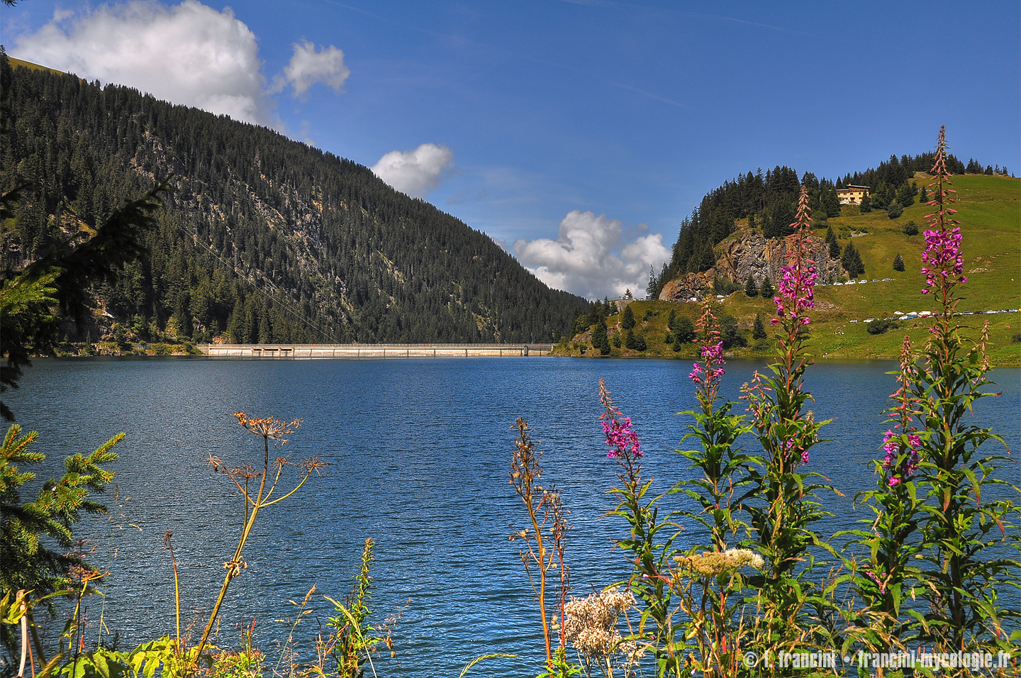 Lac et barrage de Saint Guerin