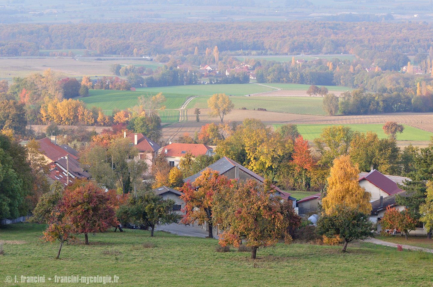 Bellossy en automne