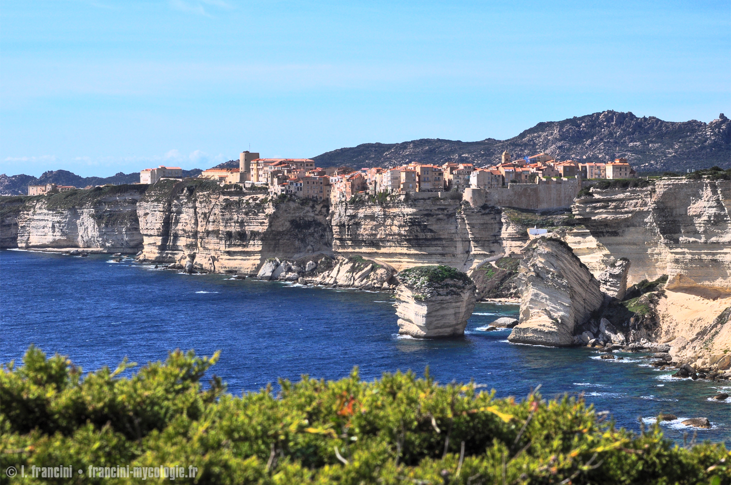 Bonifacio