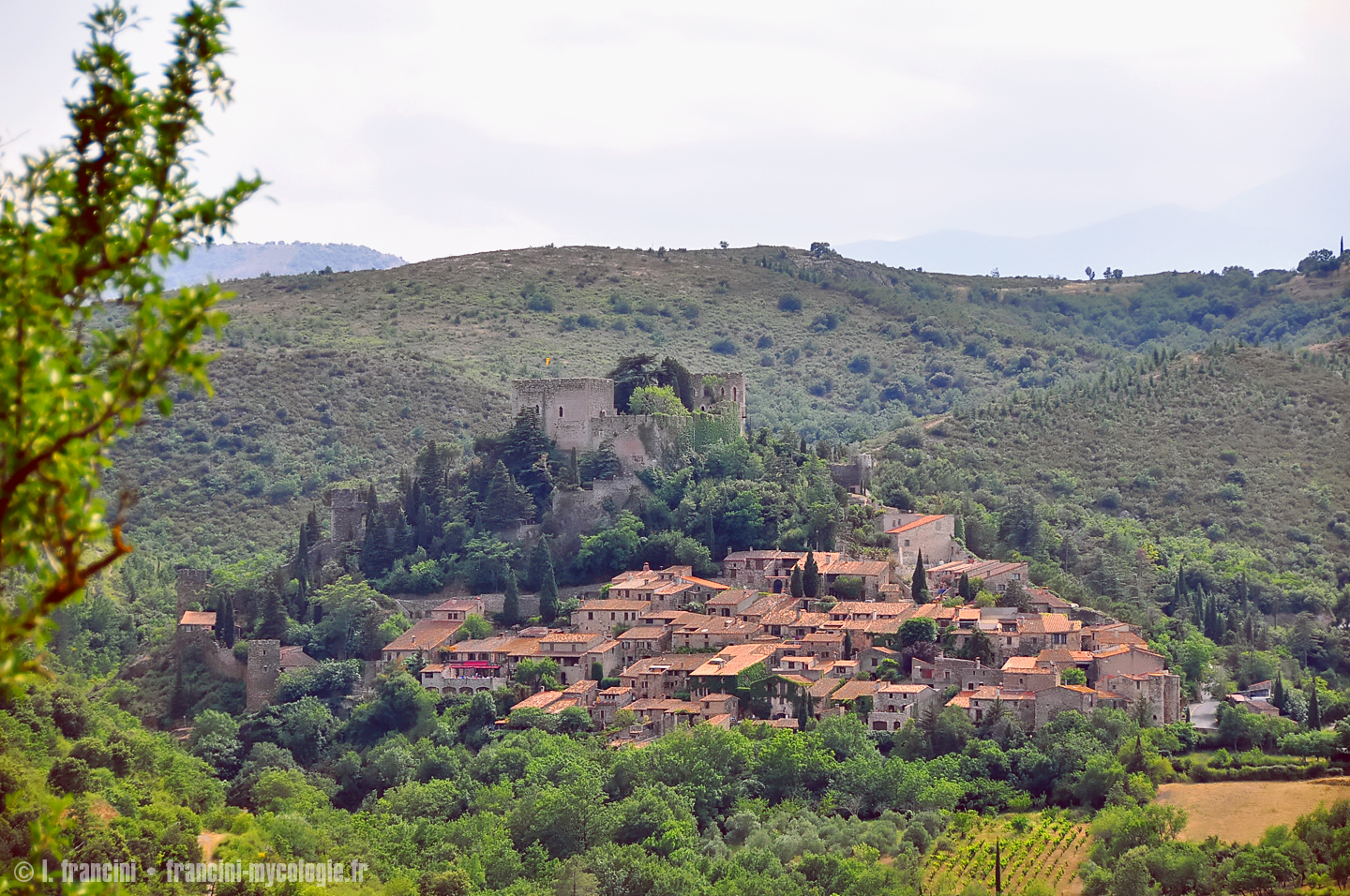 Castelnou vue ensemble