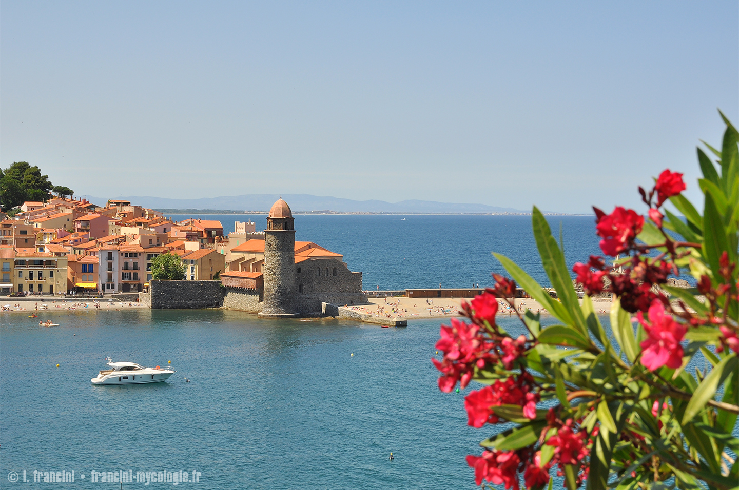 Collioure