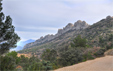 Dentelles de Montmirail