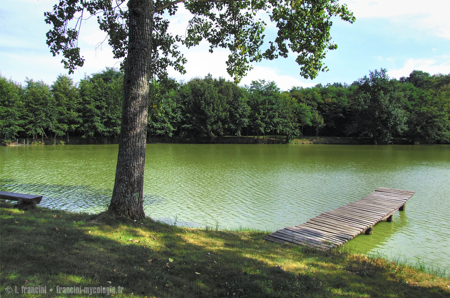 Etang du Mont-Palet