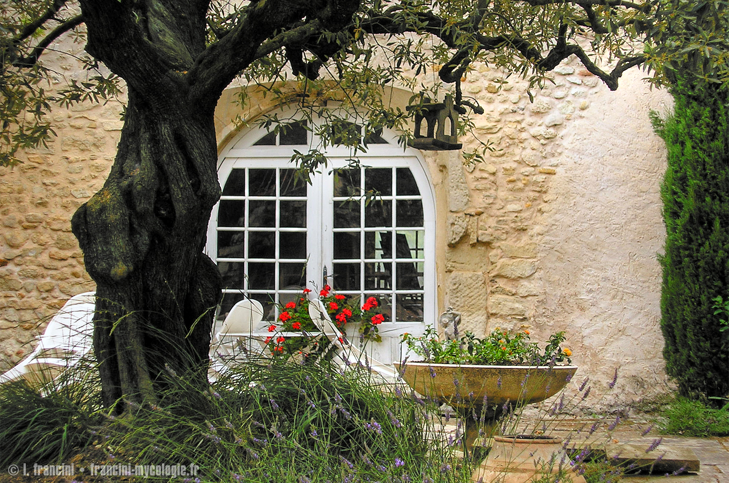 Ferme Saint Michel Solerieux