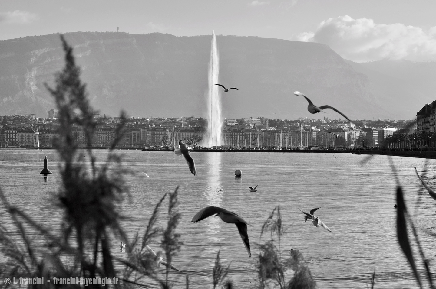 Jet Eau Geneve