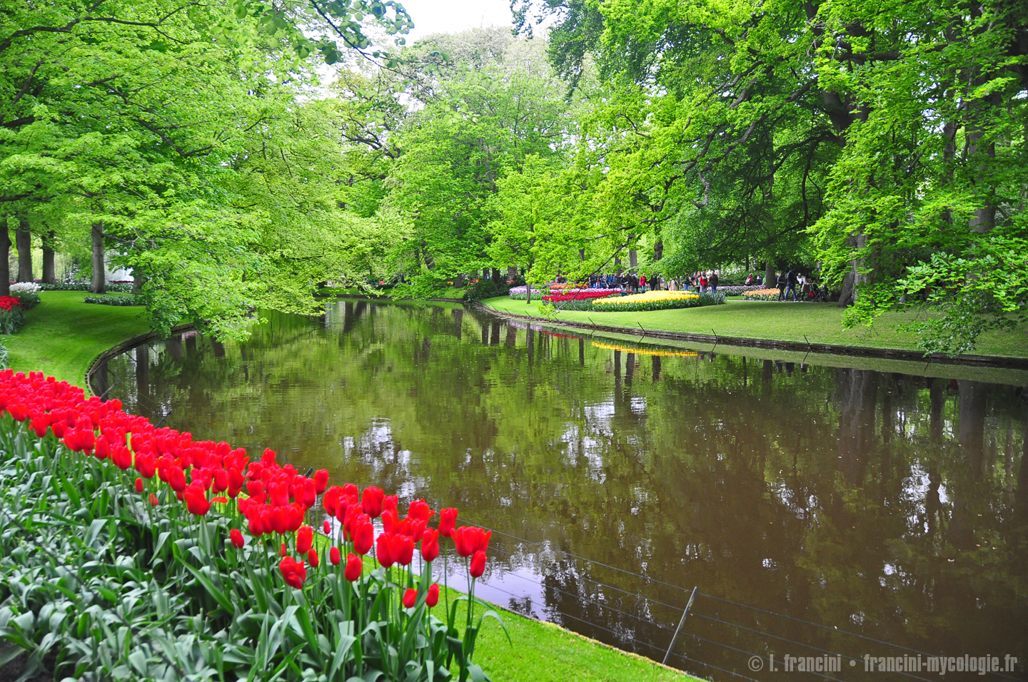 Keukenhof