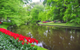 Keukenhof