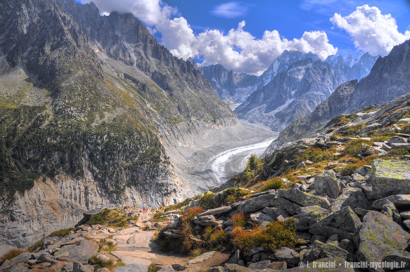 Mer de Glace Signal Forbes