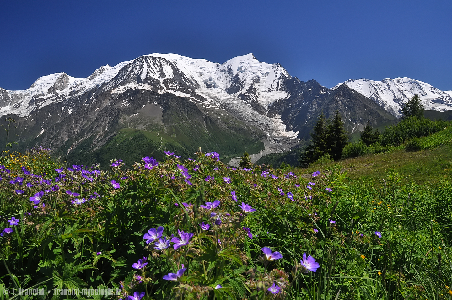 Mont Blanc Prarion