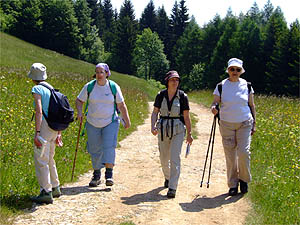 Groupe en balade