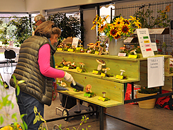 Exposition Divonne