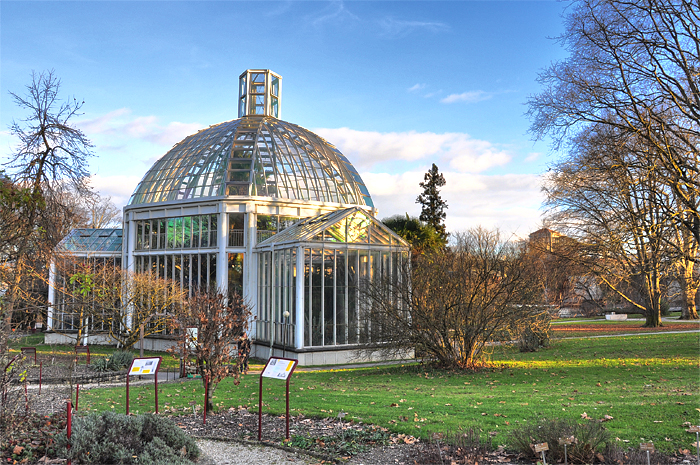 Genve Jardin Botanique serre tropicale