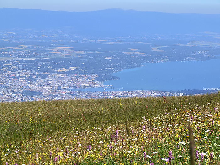 Geneve depuis les Crets