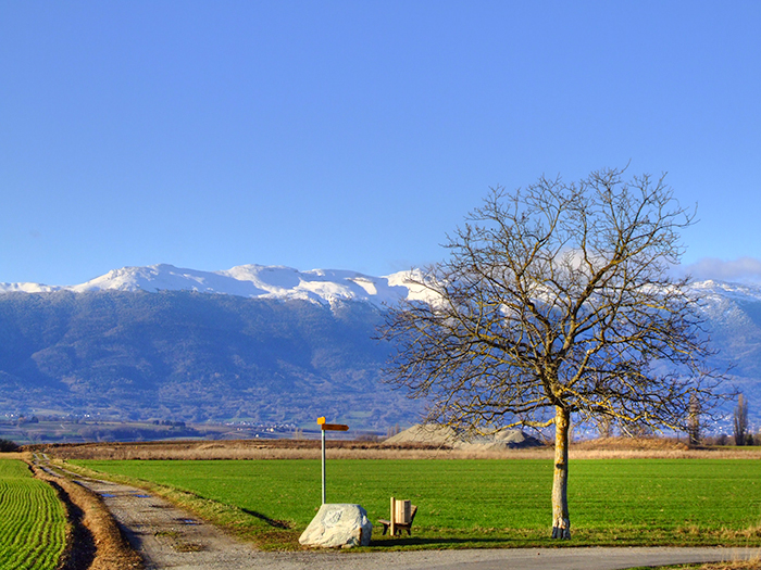 Jura depuis Soral