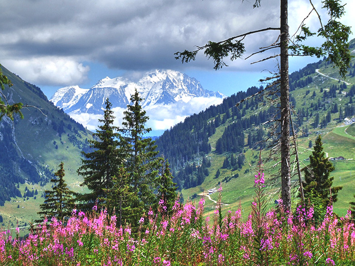 Mont_Blanc