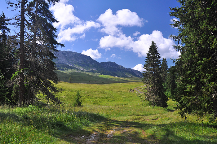 Plaine de Dran Glieres