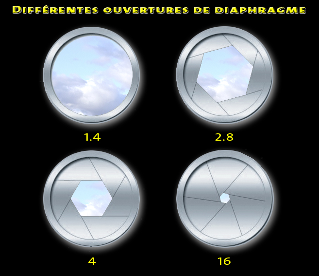 diaphragmes