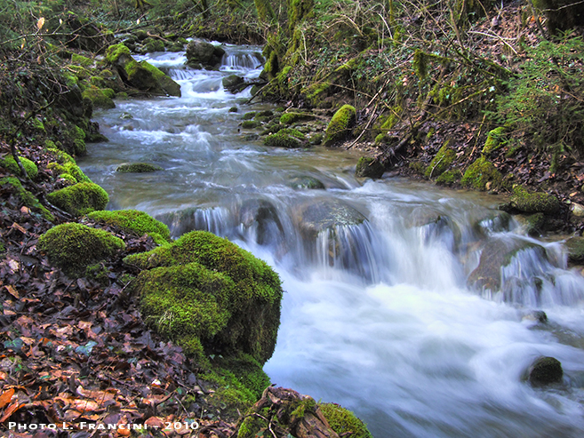 Riviere floue