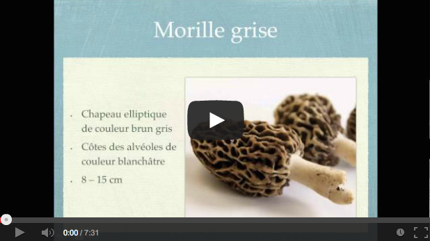 film morilles