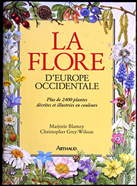 Flore Europe Occidentale