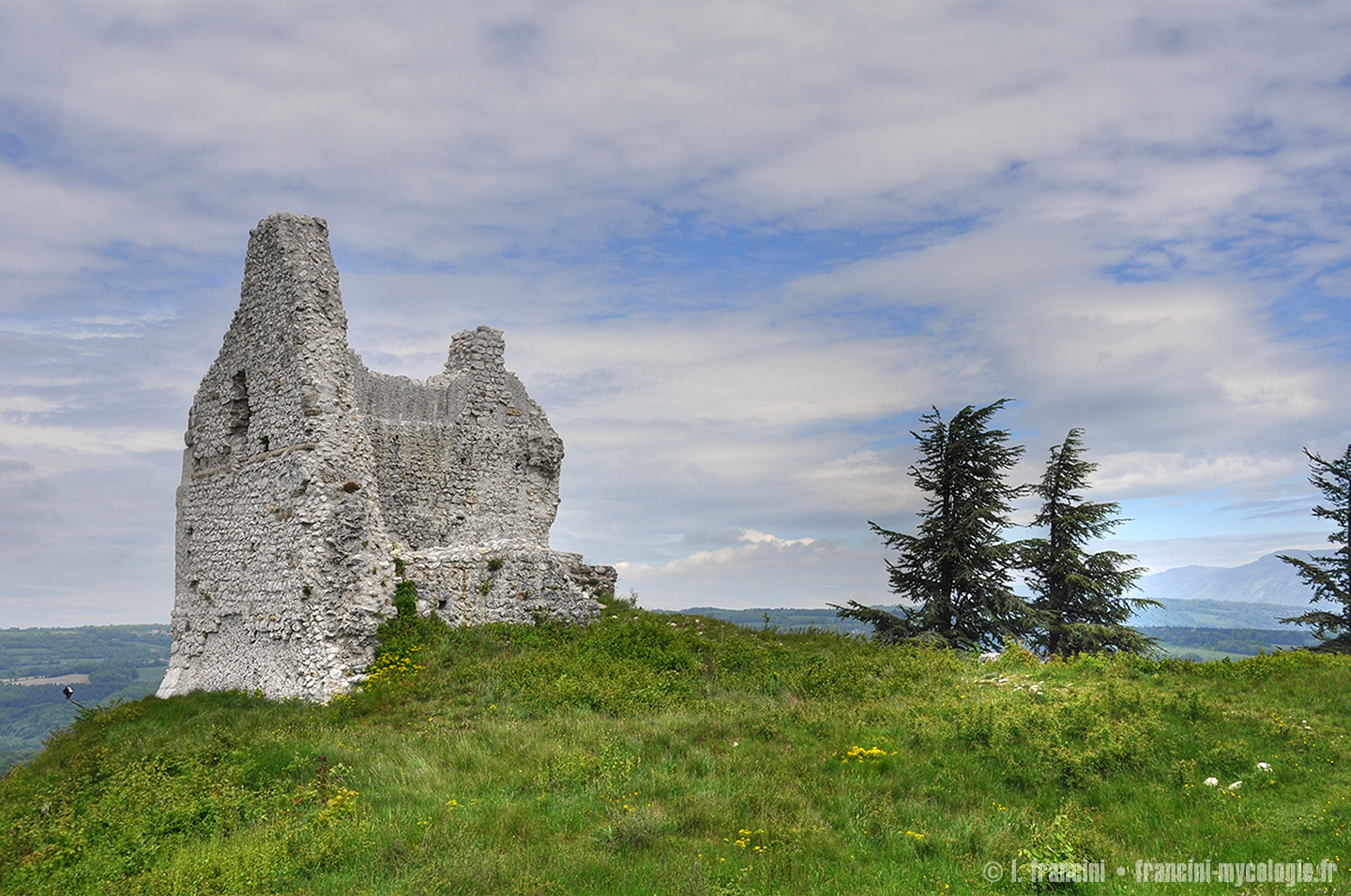 Chateau de Chaumont ruines