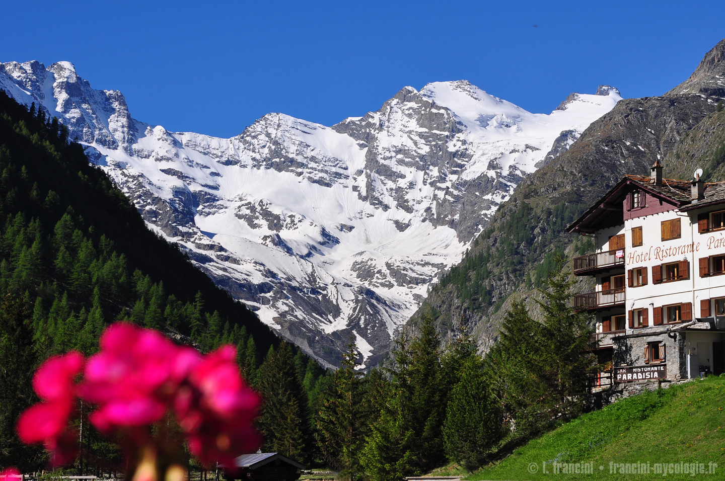 Gran Paradiso