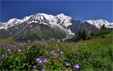 Mont Blanc Prarion