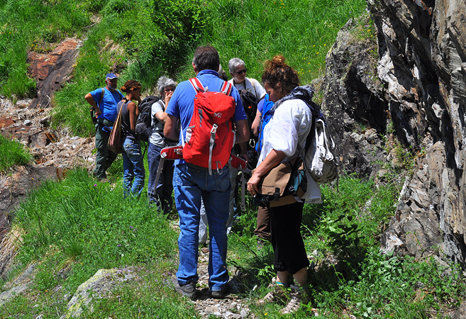 Groupe chemin