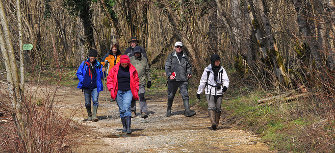 Groupe marais