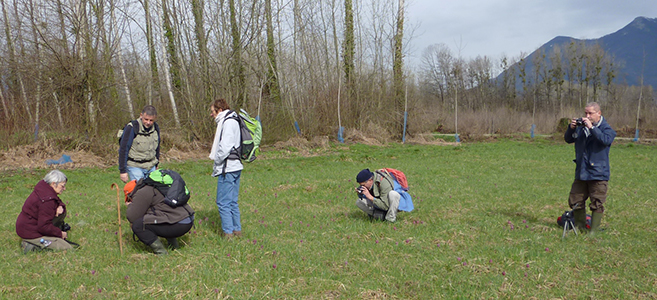 Groupe photographes