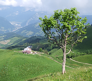 Paysage avec ferme