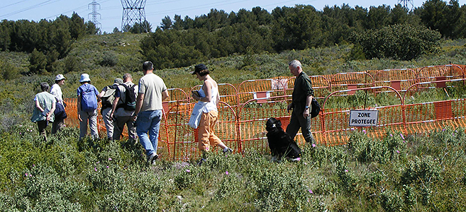 Groupe balade