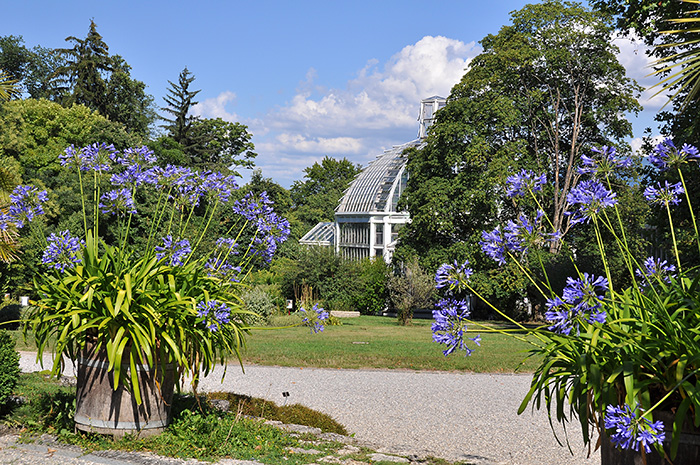 Geneve Jardin Botanique
